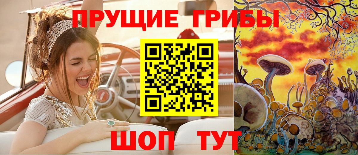 Сосновый Бор  Галлюциногенные грибы Psilocybe  Вход с VPN 